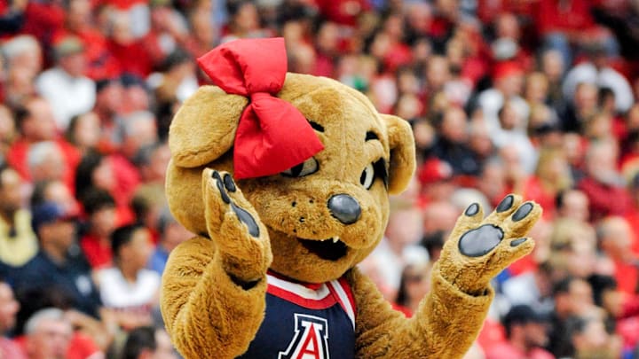 Mar 2, 2014; Tucson, AZ, USA; Arizona Wildcats mascot Wilma walks on the court during a timeout during the first half against the Stanford Cardinal at McKale Center. Arizona won 79-66. Mandatory Credit: Casey Sapio-Imagn Images