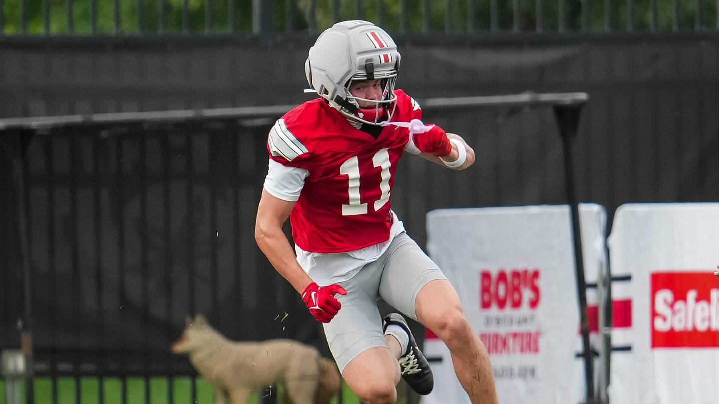 Ohio State Freshman Wideout Has Impressed Through First Two Weeks of Season