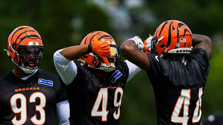 Cincinnati Bengals linebacker Barrett Carter gestures with linebacker Demetrius Knight Jr