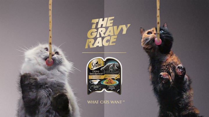 The SHEBA brand puts internet famous cats’ whisker-to-whisker in The Gravy Race. Image Credit to The SHEBA Brand. 