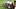 Texas A&M Aggies quarterback Marcel Reed Texas A&M Aggies quarterback Marcel Reed