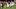 College Football Today: Week 0 Scores, What to Watch Now
