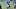 New York Giants wide receiver Braxton Berrios New York Giants wide receiver Braxton Berrios