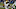 Minnesota Vikings Minnesota Vikings