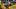 Wild Time and Josh Frost at the 2023 NFR Wild Time and Josh Frost at the 2023 NFR