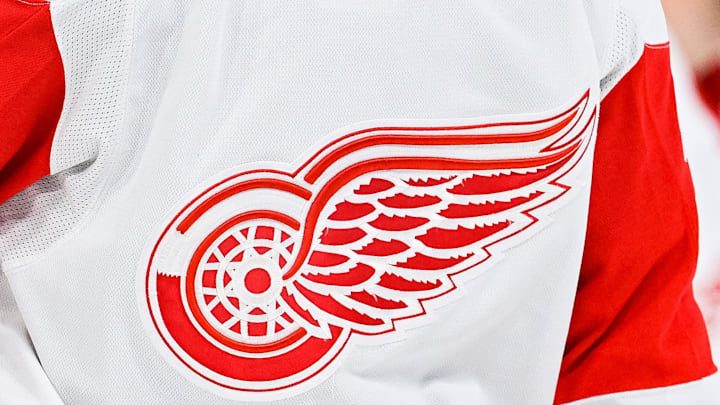 Apr 4, 2023; Montreal, Quebec, CAN; View of a Detroit Red Wings logo on a jersey worn by a member of the team against the Montreal Canadiens during the third period at Bell Centre. Mandatory Credit: David Kirouac-Imagn Images Apr 4, 2023; Montreal, Quebec, CAN; View of a Detroit Red Wings logo on a jersey worn by a member of the team against the Montreal Canadiens during the third period at Bell Centre. Mandatory Credit: David Kirouac-Imagn Images