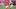 Fantasy Football, Travis Kelce, Kansas City Chiefs Fantasy Football, Travis Kelce, Kansas City Chiefs