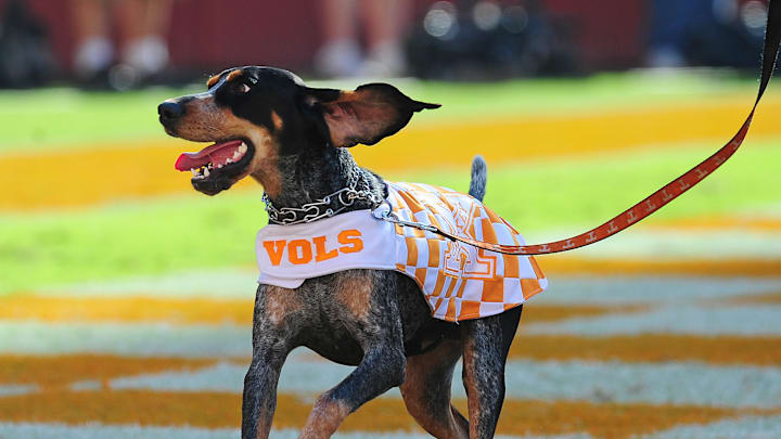 Georgia v Tennessee