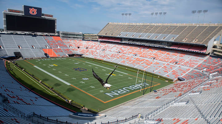 Auburn bald eagle Independence flies during practice at Jordan-Hare Stadium in Auburn, Ala. on Thursday, Aug. 21, 2025.