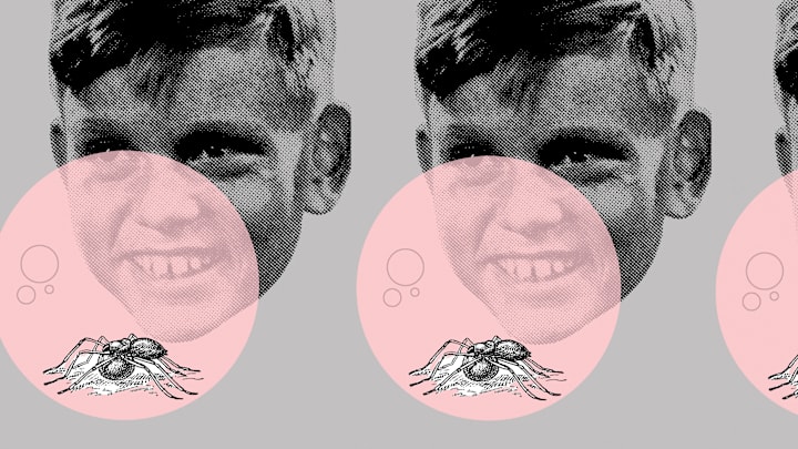Chock full o‘ spiders.