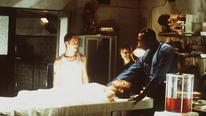 Devon Sawa, Ali Larter, Chad Donella, and Tony Todd in Final Destination