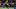 Los Angeles Football Club forward Denis Bouanga Los Angeles Football Club forward Denis Bouanga