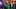 Wonka's_The_Golden_Ticket_n_S1_E1_00_25_07_12R