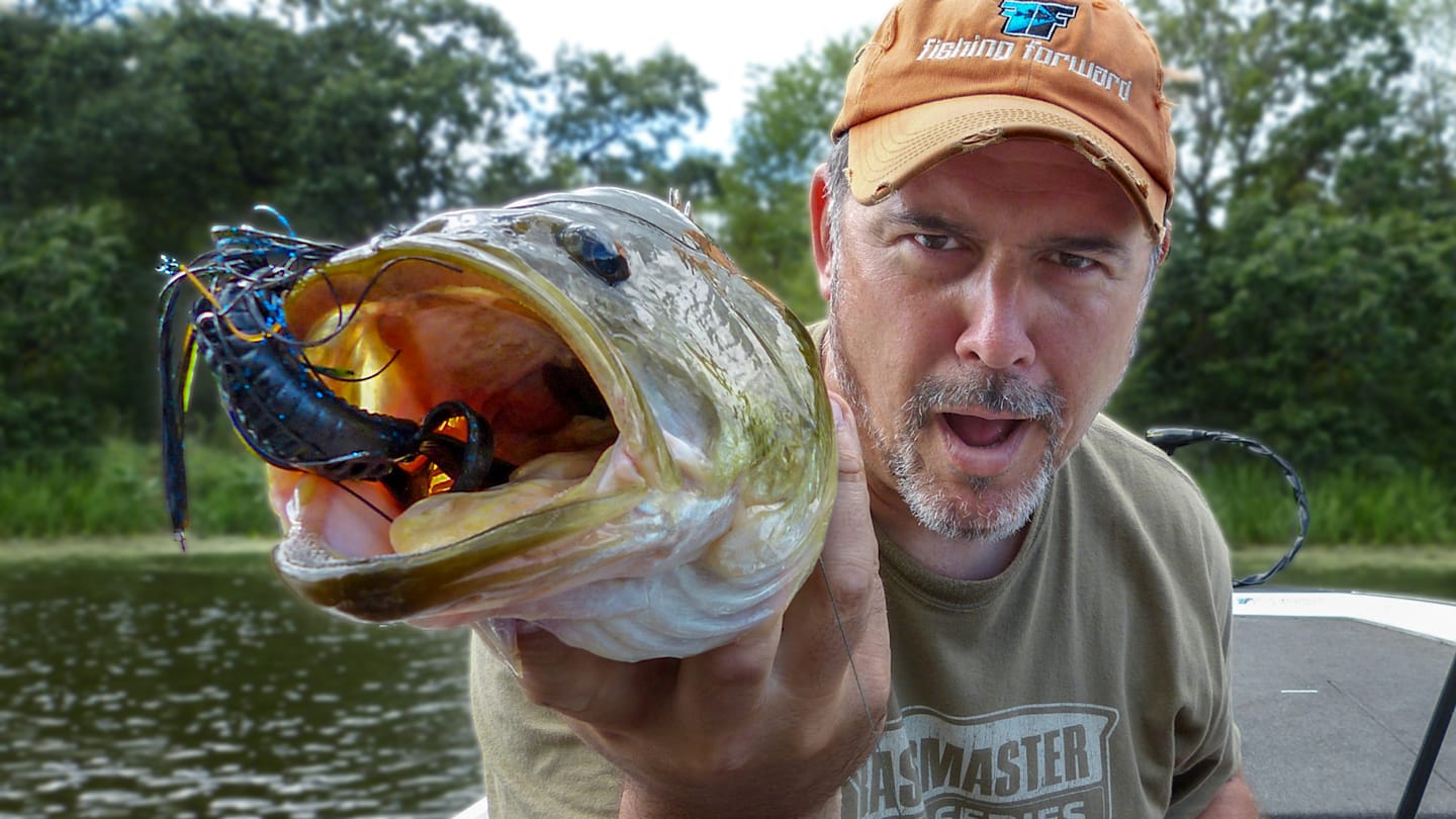 Unveiling the Secrets of Largemouth Bass Fishing - Nex Fisher Hub, image size:1440x810