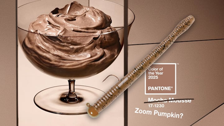 I thought that Pantone Color of the Year 2025 Mocha Mousse looked familiar.