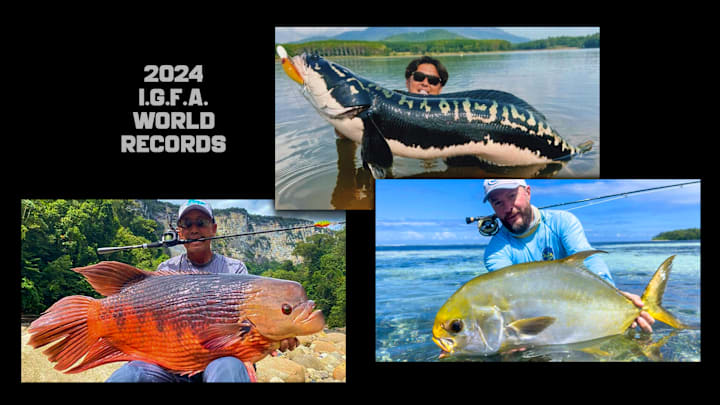 From gold-striped snakeheads to neon pompano and a 22-pound gourami, these actual record-breaking fish look like something out of a sci-fi movie. From gold-striped snakeheads to neon pompano and a 22-pound gourami, these actual record-breaking fish look like something out of a sci-fi movie.