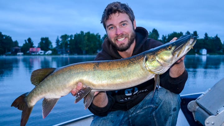 The author applied these early season muskie tactics to catch this beautiful opening day muskie.