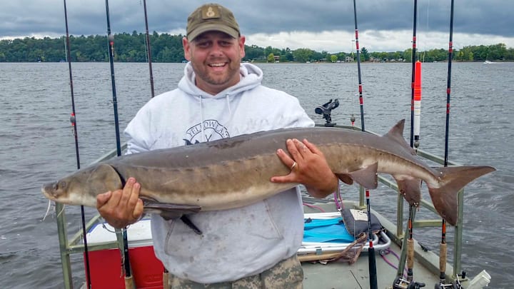 Want to catch a freshwater fish over 100 pounds? Learn where, when, and how to catch lake sturgeon in Wisconsin, Minnesota & Michigan.