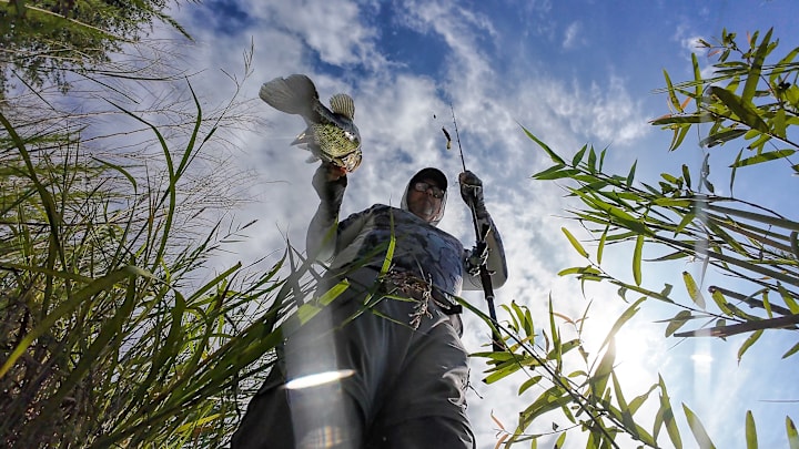 In this edition of The Starting Spot Daily Bass Fishing Headlines, USA Bass Team Bring Home Pan-Am Gold, Bass Pro Shops Donate 40,000 Rods to Kids, and Using Accurate Data to Understand Bass Behavior. In this edition of The Starting Spot Daily Bass Fishing Headlines, USA Bass Team Bring Home Pan-Am Gold, Bass Pro Shops Donate 40,000 Rods to Kids, and Using Accurate Data to Understand Bass Behavior.
