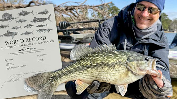 On Toledo Bend in Texas, Art Weston set two IGFA world records with a 2-pound, 8-ounce spotted bass caught on 1-pound test line—his 92nd record and counting. On Toledo Bend in Texas, Art Weston set two IGFA world records with a 2-pound, 8-ounce spotted bass caught on 1-pound test line—his 92nd record and counting.