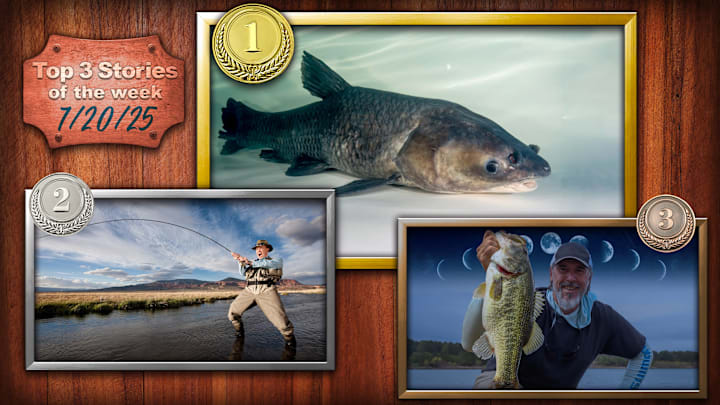 From 27 states offering a $100 bounty on black carp, to the problem with fashion hipsters pretending to look like they fish, and the way moon phases may affect fishing, these stories captured our Sports Illustrated fishing reader’s attention on Fishing on SI this past week.