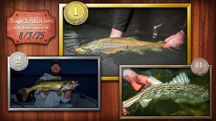 From big browns on the Bow River, to why walleye’s eyes glow, to a review of the Orvis Helios F Fly Rod, these stories captured our Sports Illustrated fishing reader’s attention on Fishing on SI this past week. From big browns on the Bow River, to why walleye’s eyes glow, to a review of the Orvis Helios F Fly Rod, these stories captured our Sports Illustrated fishing reader’s attention on Fishing on SI this past week.