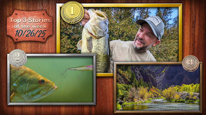 5 Proven Tips to Catch Your Personal Best Largemouth, to Explaining and Converting Bass that Follow Without Biting, and Colorado’s premier fly fishing destinations. 5 Proven Tips to Catch Your Personal Best Largemouth, to Explaining and Converting Bass that Follow Without Biting, and Colorado’s premier fly fishing destinations.