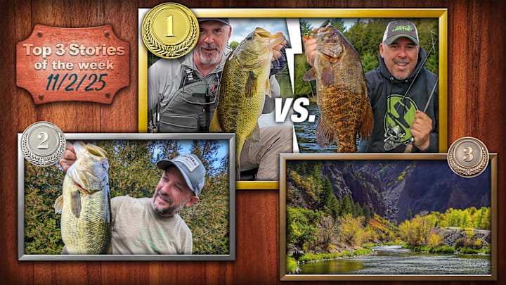 Top 3 Fishing Stories of the Week: Largemouth vs. Smallmouth, 5 Tips for Your PB Bass, and the West’s Best Fly Fishing Top 3 Fishing Stories of the Week: Largemouth vs. Smallmouth, 5 Tips for Your PB Bass, and the West’s Best Fly Fishing