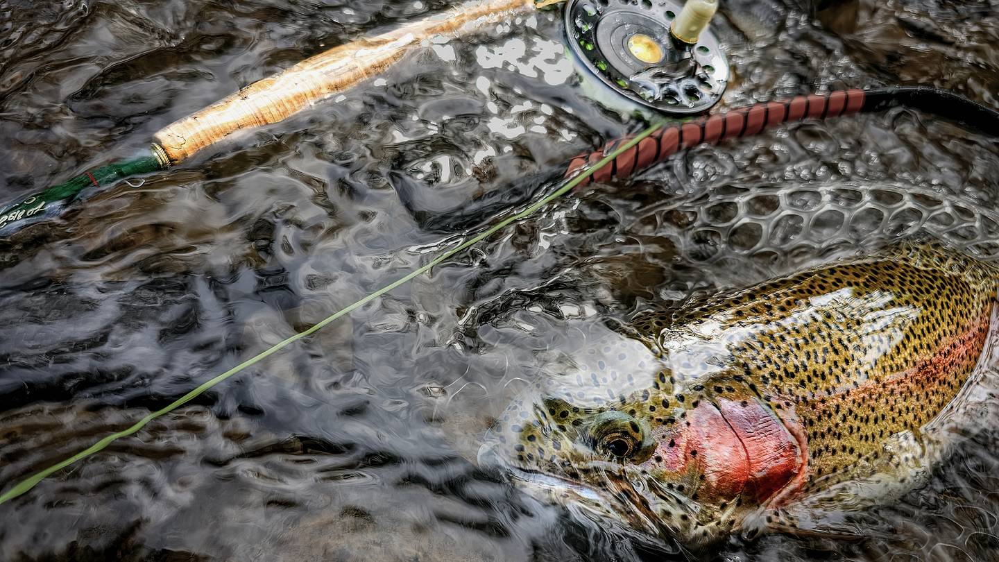 best ice fishing jigs and lures Top Ice Fishing Lures You Need to Try