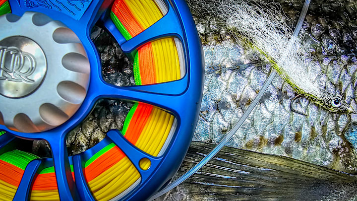 Fly line care maintains high performance in your fly line. Fly line care maintains high performance in your fly line.