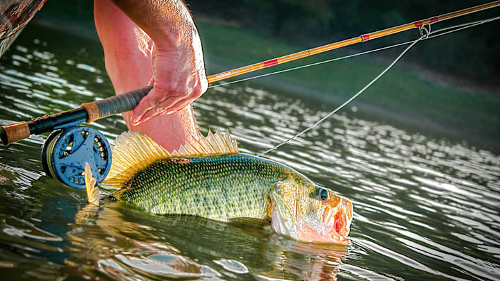 Big bass will feed on top in the spring. Big bass will feed on top in the spring.