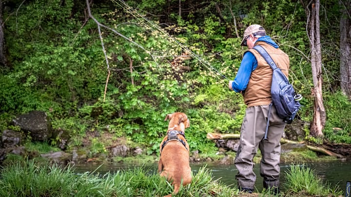 Rigging up on a small West Virginia creek. The Orvis sling carries everything I need for the day. Rigging up on a small West Virginia creek. The Orvis sling carries everything I need for the day.
