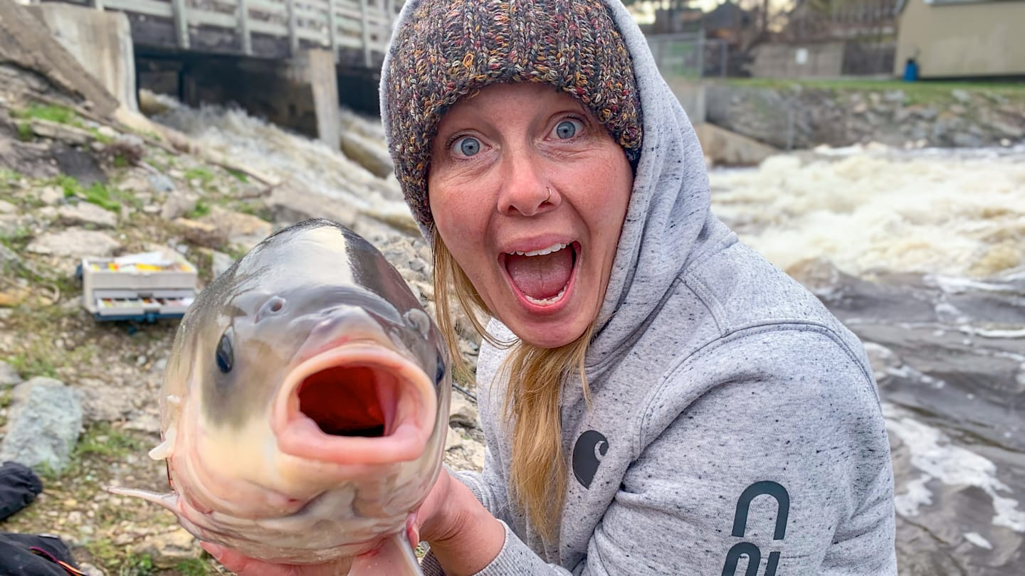 You’re Ignoring the Hardest-Fighting Fish in Your Local Water