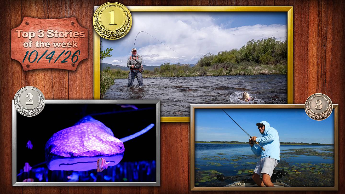 Trigger Tout to Bite and Other Top Stories from Fishing on SI