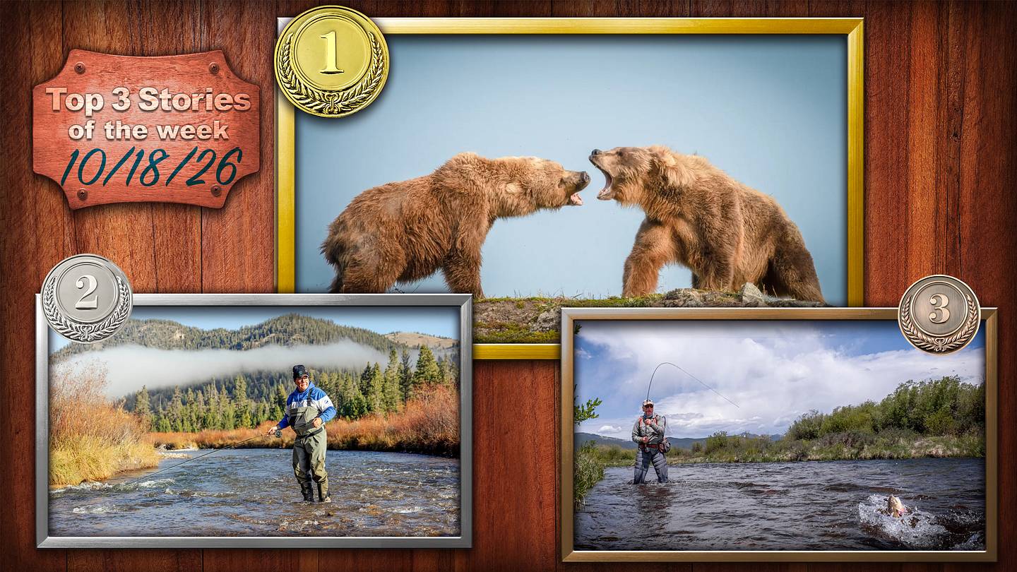 Alaska's Lodge for Bear Viewing and Photography and Other Top Stories from Fishing on SI