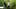 TWD_601_GP_0506_0470