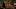 SWEET MAGNOLIAS (2026) SWEET MAGNOLIAS (2026)