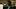 Last_Seen_Photo_010201