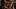 IWTV_204_LH_1114_0336_RT