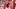 Arkansas Razorbacks quarterback KJ Jackson Arkansas Razorbacks quarterback KJ Jackson