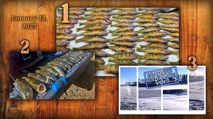 These are the Top 3 Stories of the Fishing on SI site for the week of 1/5 through 1/12/2025. These are the Top 3 Stories of the Fishing on SI site for the week of 1/5 through 1/12/2025.