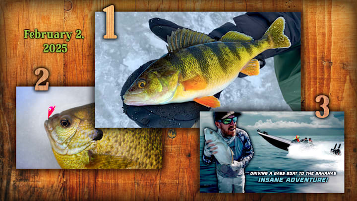 From a great tips to ice fish for jumbo perch to Jacob Wheeler bass boating the Atlantic Ocean, these stories captured our Sports Illustrated fishing reader’s attention on Fishing on SI this past week, February 2, 2025.