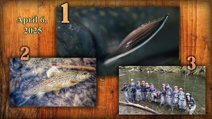 From native brook trout, to old school wisdom and why women should fly fish, these stories captured our Sports Illustrated fishing reader’s attention on Fishing on SI this past week. From native brook trout, to old school wisdom and why women should fly fish, these stories captured our Sports Illustrated fishing reader’s attention on Fishing on SI this past week.