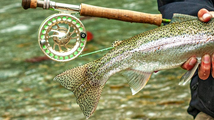 A silver fly reel will be fine 95% of the time; it's that 5% I'm concerned about.