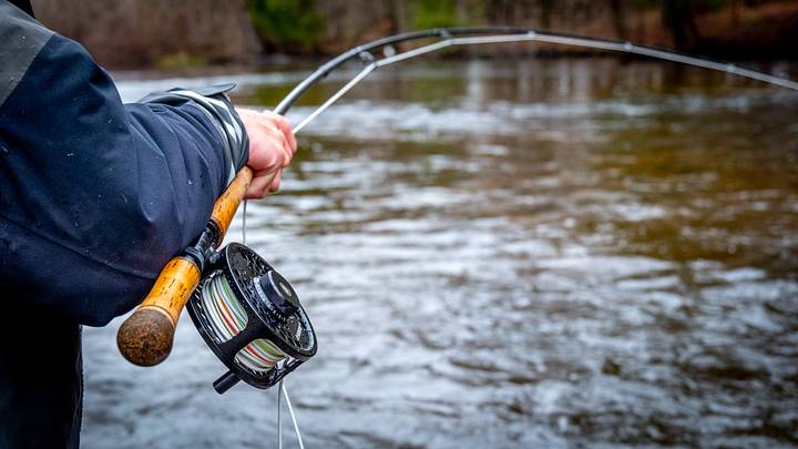 best fishing baits and lures 2019 Louisiana Sportsman