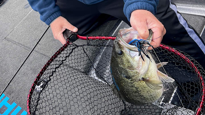 Check out the Dave Mercer podcast with Dakota Ebare, Bass’ Memory and Learning Capacities, and Bernie Schultz Looks Back on a Long Successful Career.