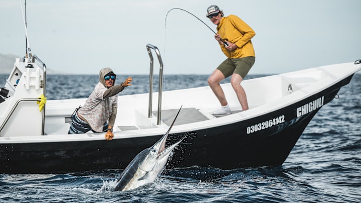 A catch of a lifetime in Destination Baja A catch of a lifetime in Destination Baja