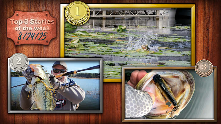 From a simple frog and punch strategy to catch more slop fish, the best way to pair a rod and reel without overpaying, to must-have topwater bass baits, these stories captured our Sports Illustrated fishing reader’s attention on Fishing on SI this past week.