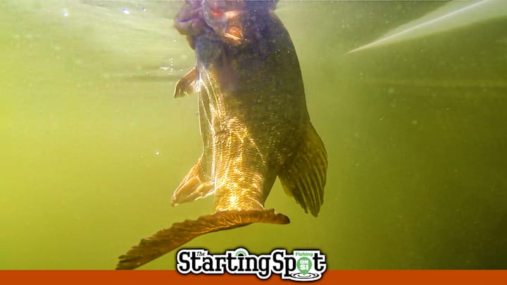 Today on The Starting Spot: Online Tournament for High School Anglers, 4 Fall Bass Tips, and a Reel Designed for the Cold Today on The Starting Spot: Online Tournament for High School Anglers, 4 Fall Bass Tips, and a Reel Designed for the Cold