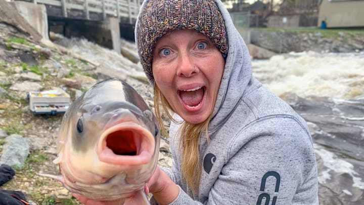 Rough fish like this buffalo are widespread and incredibly powerful, often using current to extend fights far beyond what most anglers expect.